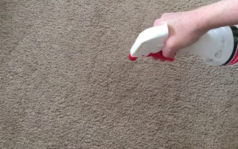 آیا سرکه باعث پوسیدگی فرش میشود | از بین بردن بوی سرکه از روی فرش | بهترين روش تميز كردن فرش ماشيني