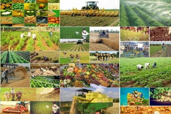 اتحادیه ملی محصولات کشاورزی ایران | از | برنامه لیمویی