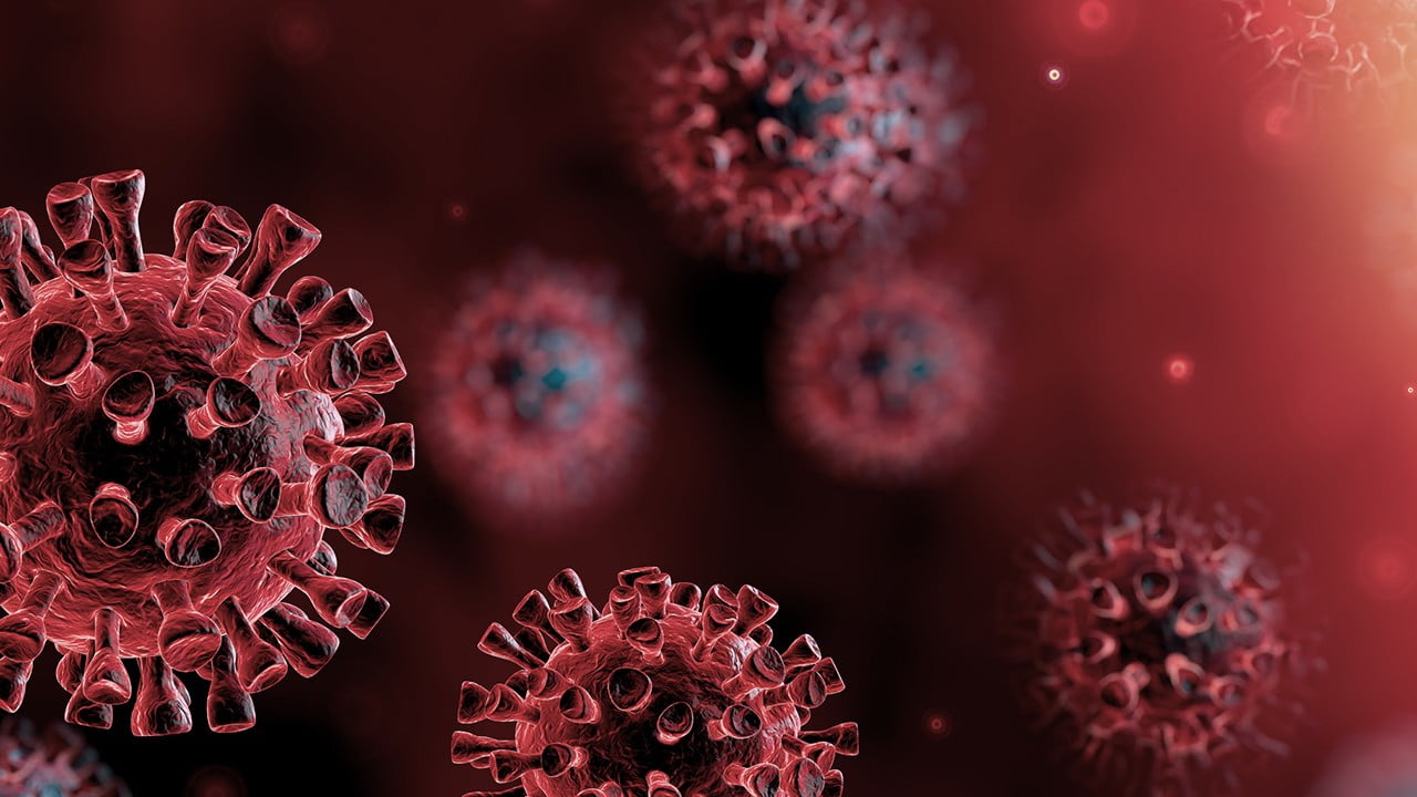 مکمل های تقویت سیستم ایمنی از بدن در برابر ابتلا به ویروس کرونا محافظت می کنند