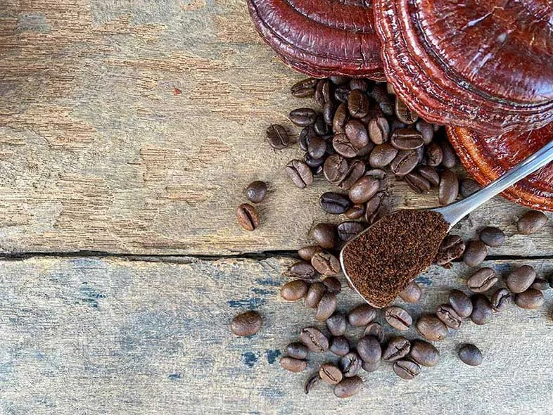 رسانه عمومی