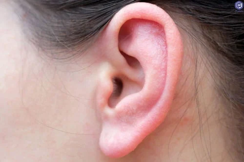 رسانه سلامت و دانش