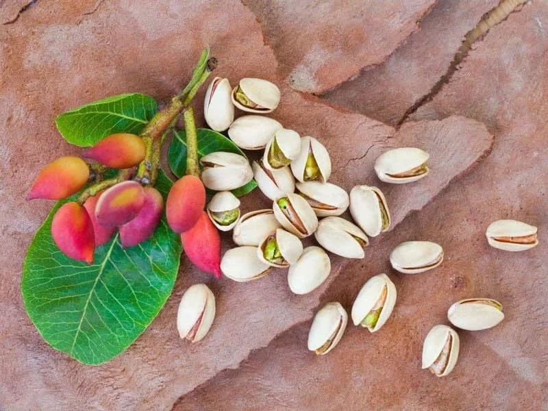 رسانه عمومی