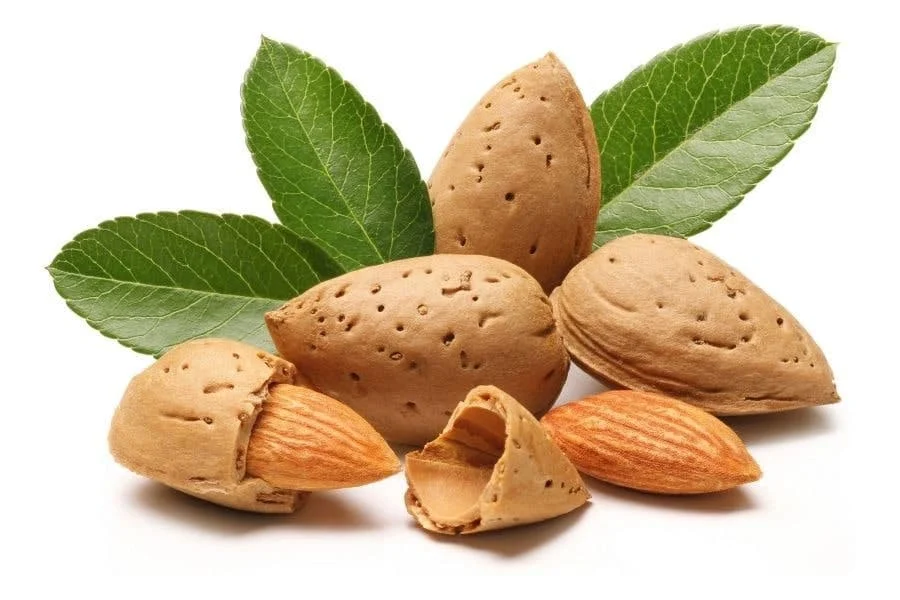 یخچال