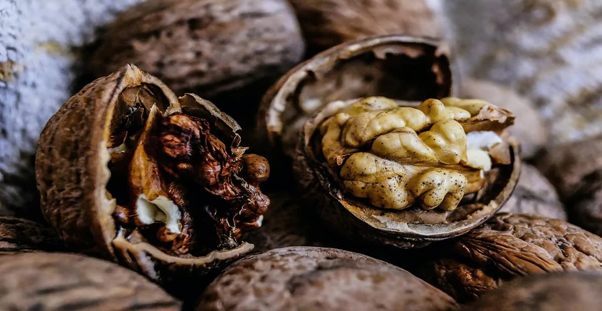 رسانه عمومی