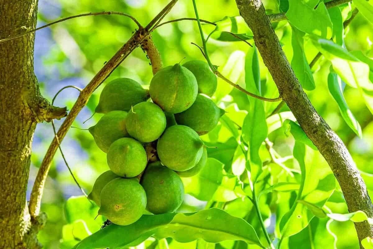 رسانه عمومی