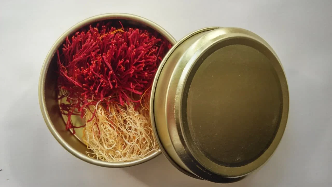 رسانه عمومی