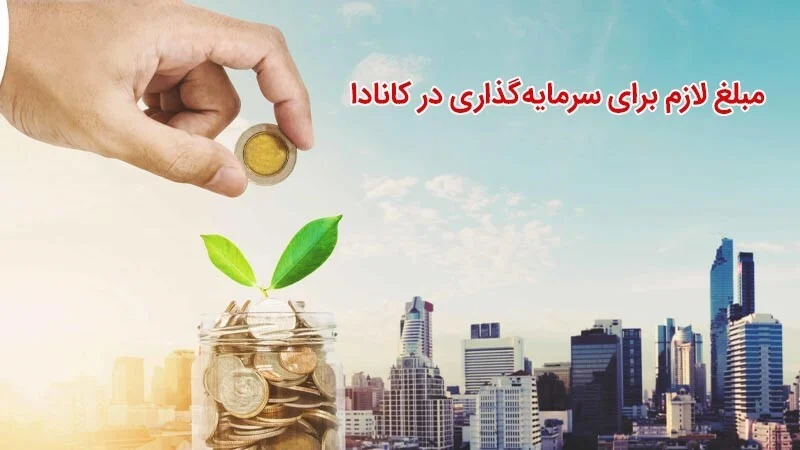 سرمایه