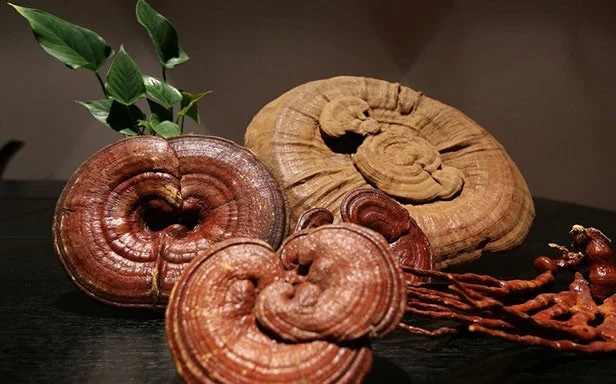 رسانه عمومی