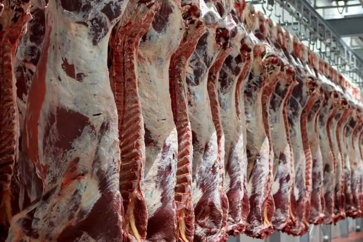 چالش های واردکنندگان گوشت قرمز بررسی شد - خبرگزاری مهر | اخبار ایران و جهان