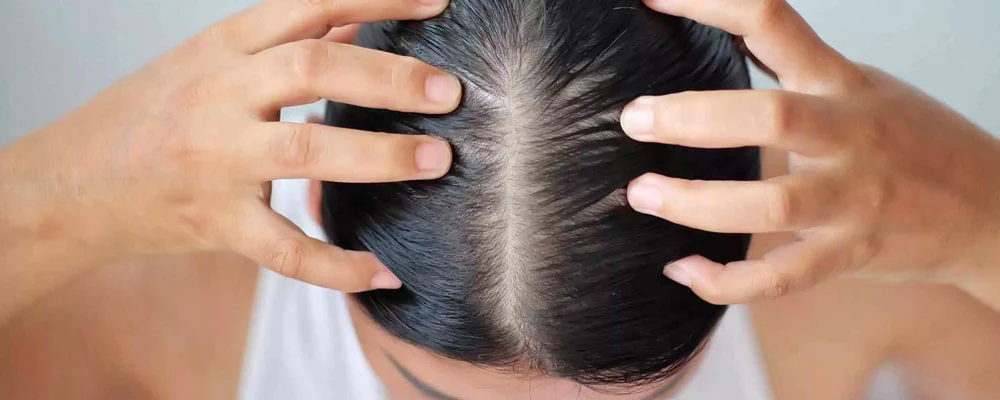 رسانه سلامت و دانش