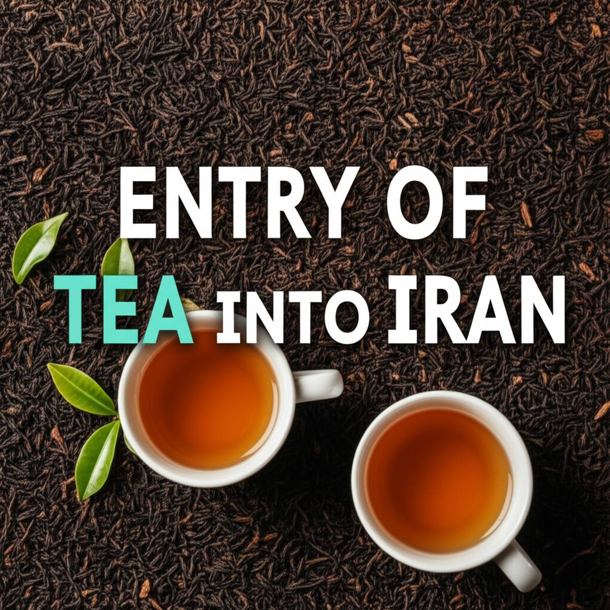 چای | گردشگری چای | گردشگری