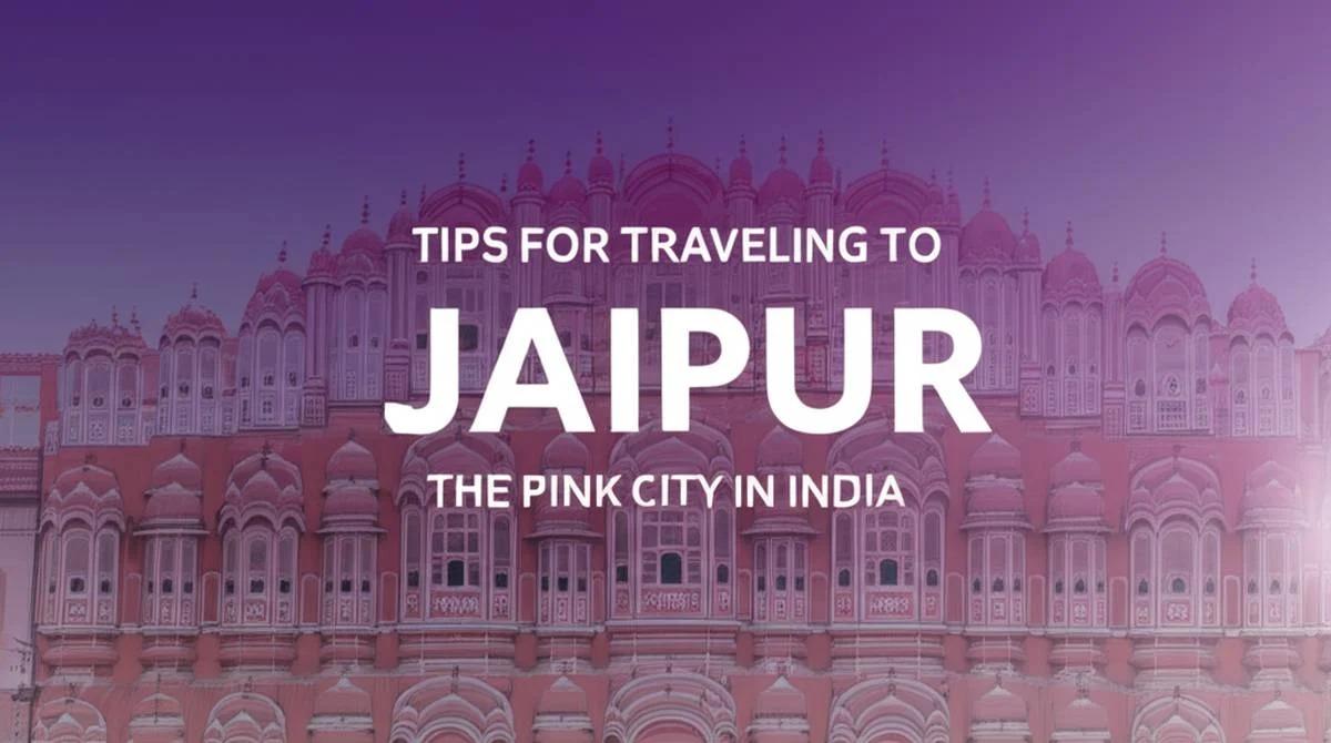 گردشگری و اقامتی