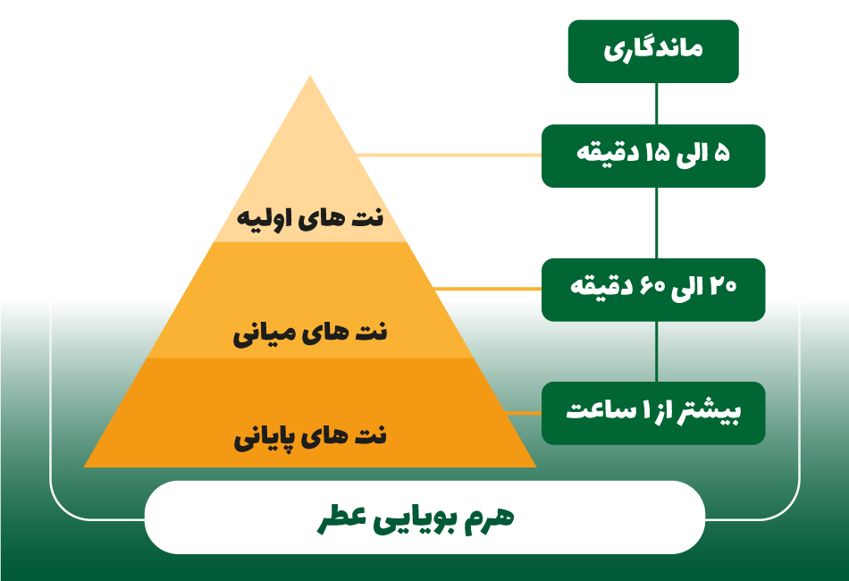 هرم بویایی و لایه‌بندی پویا