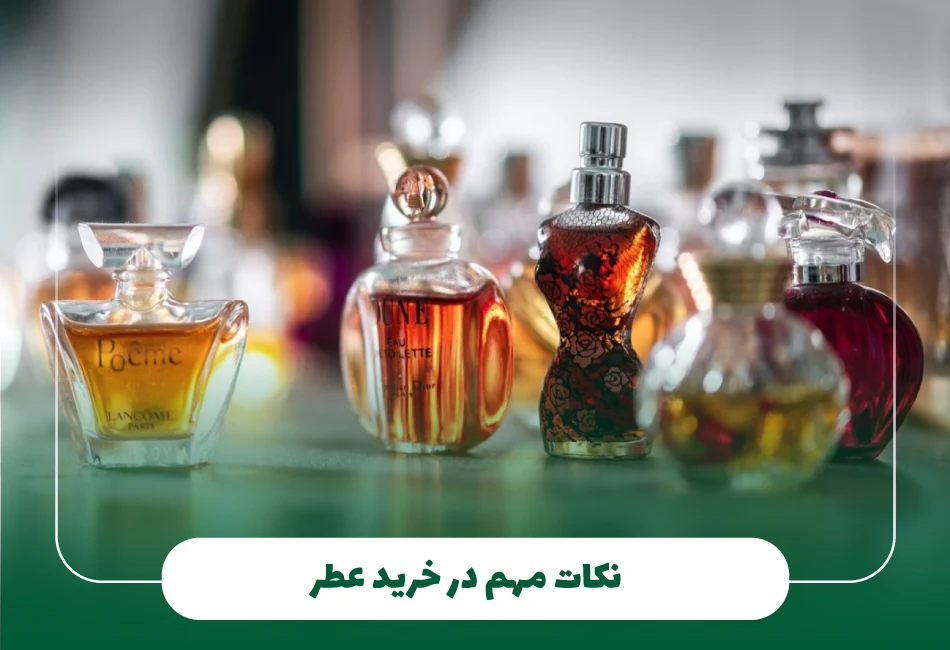 ادکلن | لوازم آرایشی ادکلن | لوازم آرایشی